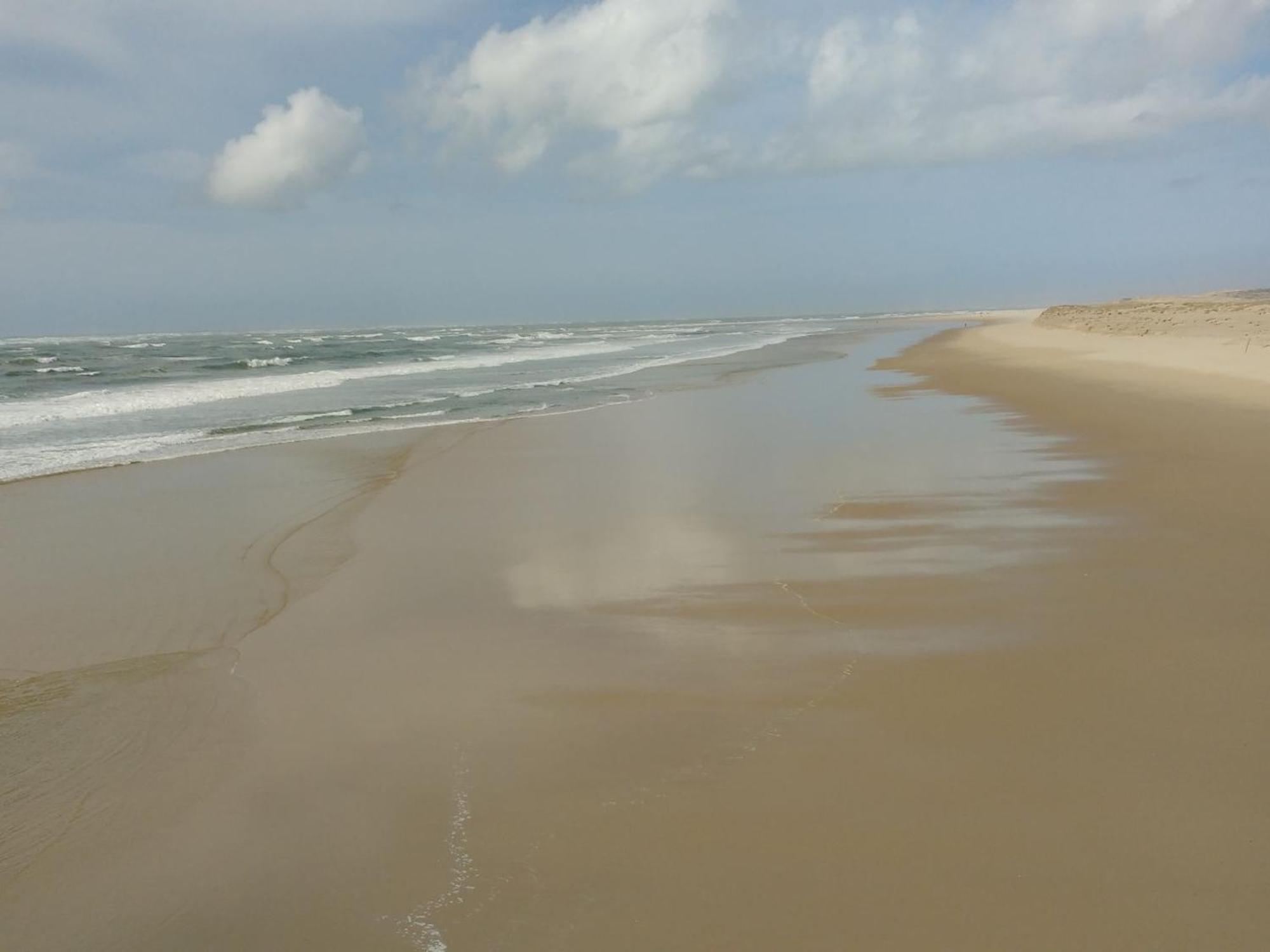 Charmant Appartement Pour 6 En Centre-Ville D'Arcachon Avec Terrasse, Parking Et Wifi - Fr-1-474-174 Екстериор снимка